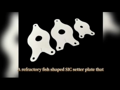 Placa de fijación de peces de carburo de silicio refractario para la sinterización de vajilla